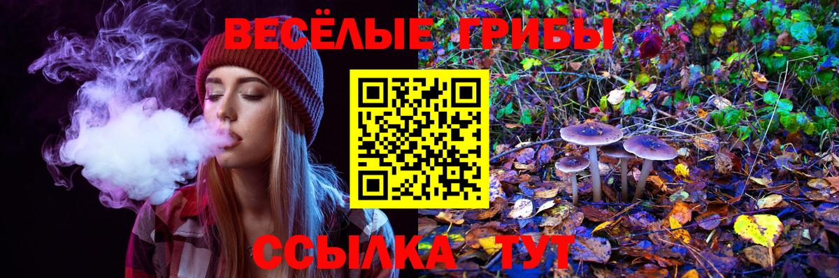 Галлюциногенные грибы MAGIC MUSHROOMS Советская Гавань