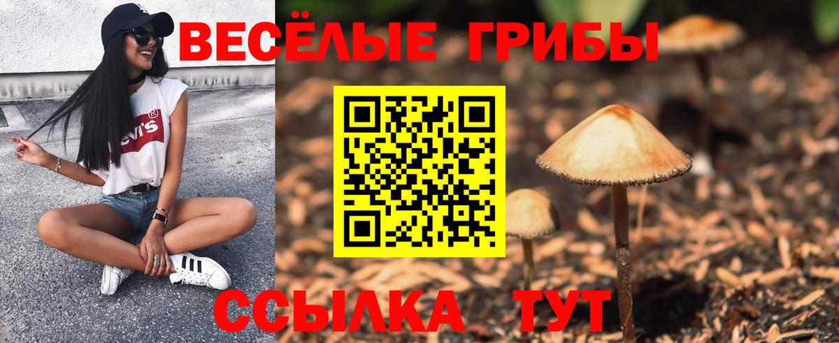 Галлюциногенные грибы Psilocybine cubensis  Вход с VPN  Советская Гавань 